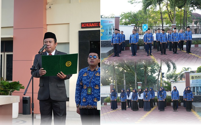 harlah apel 3