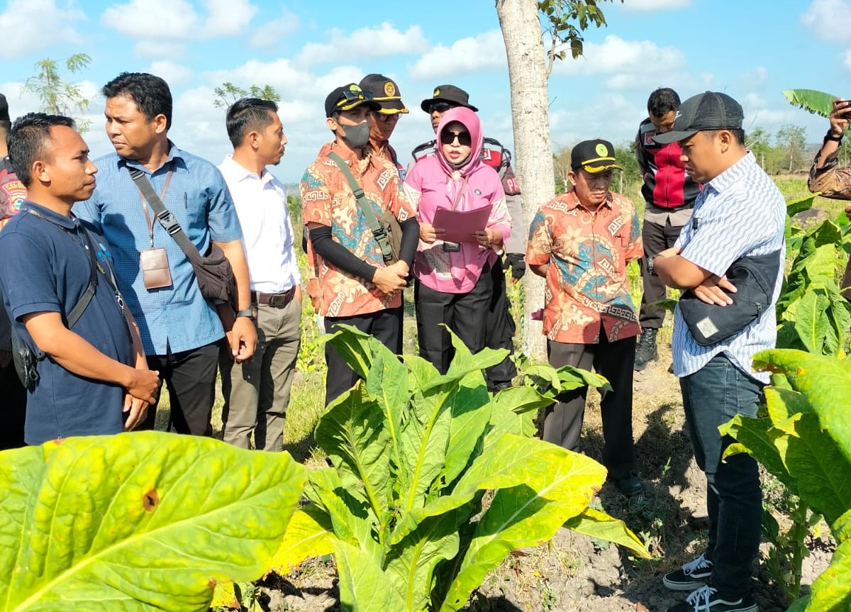eksekusi loang maka 3