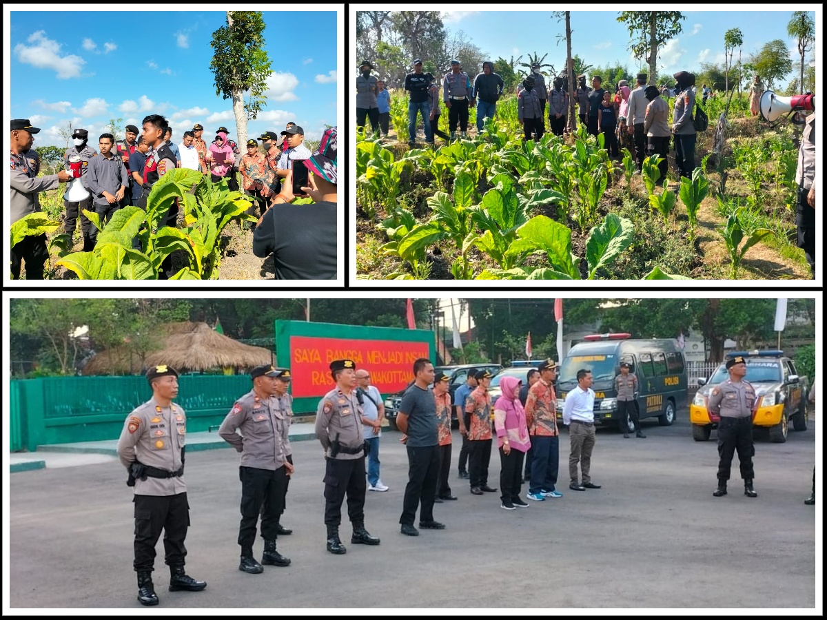 eksekusi loang maka collage
