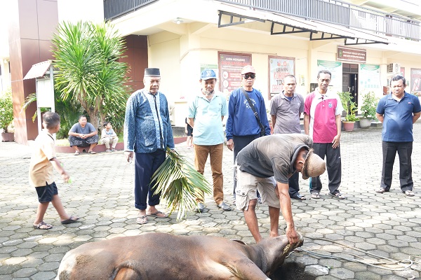 qurban2025 3